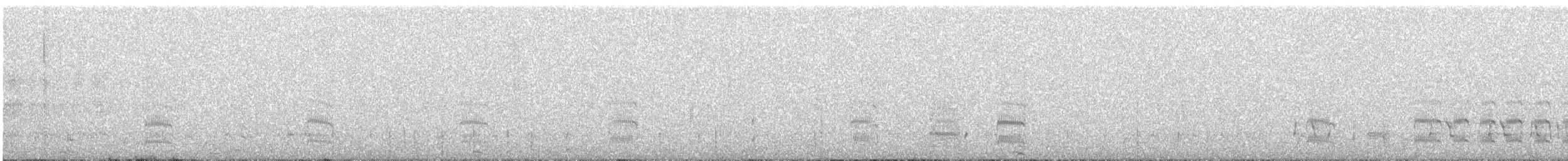 Snowy-crowned Tern - ML608595896