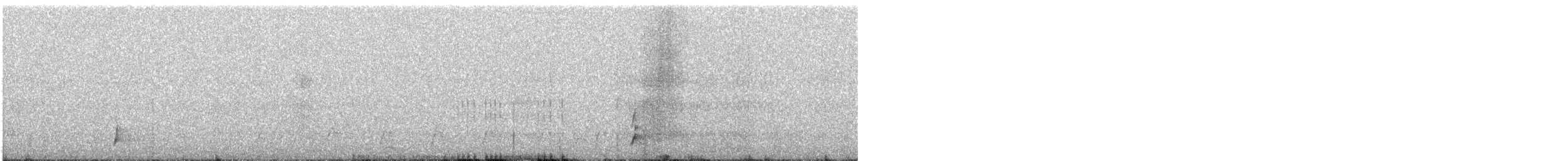 Red-gartered Coot - ML608596098