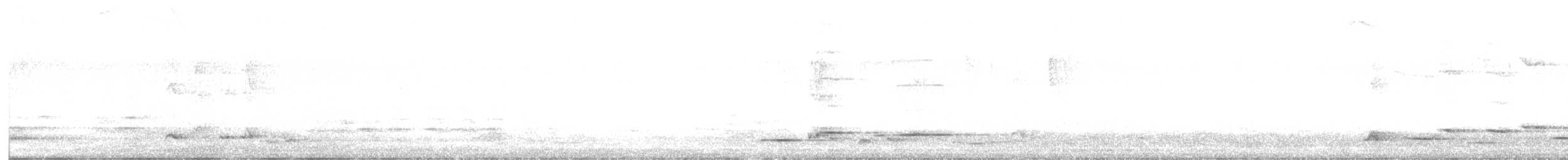 Pied Butcherbird - ML608602657