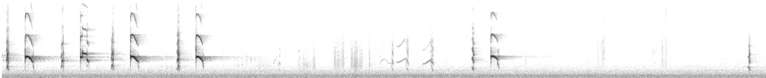 Bänderspecht - ML608605373