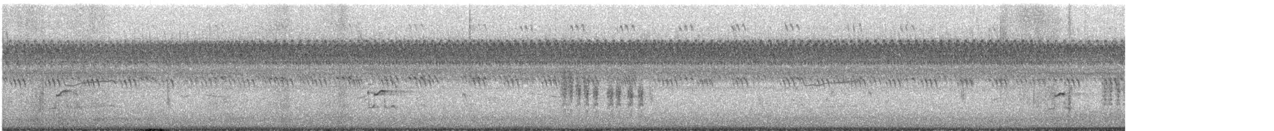 חופזי אמריקני - ML608607875