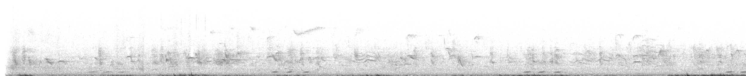 Eurasian Hoopoe (African) - ML608608053