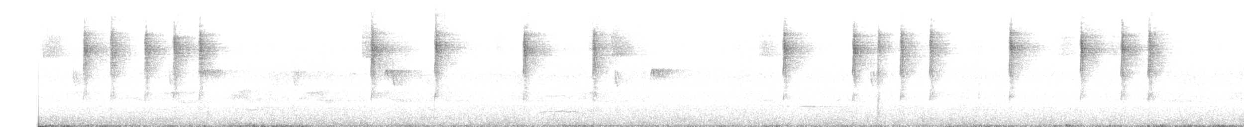 lesňáček černobílý - ML608609004