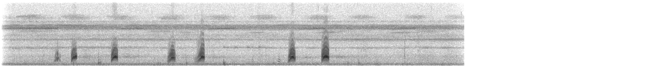 Band-tailed Nighthawk (latifascia) - ML608611794