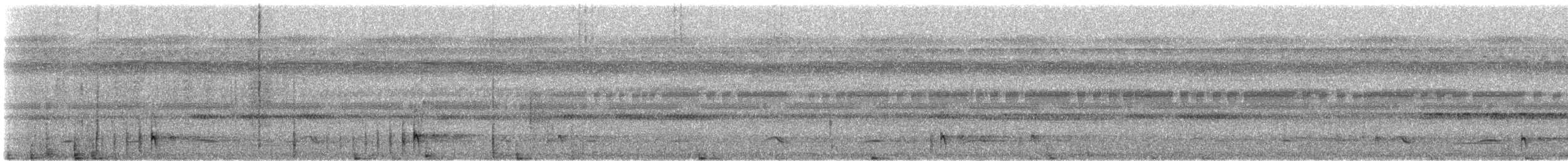 Анаперо смугастохвостий (підвид latifascia) - ML608611803