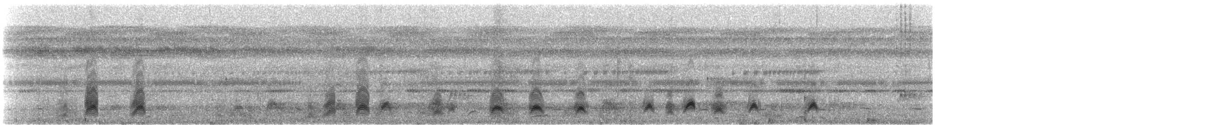 dryadenatthauk (latifascia) - ML608611810