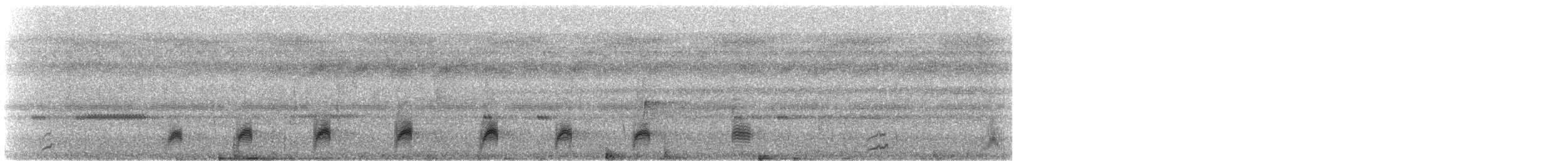 Bindenschwanz-Nachtschwalbe (latifascia) - ML608611813