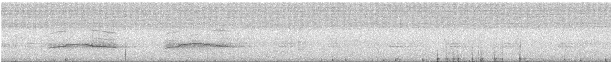 White Hawk - ML608617077