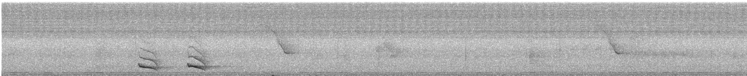 Trogon rosalba - ML608618078