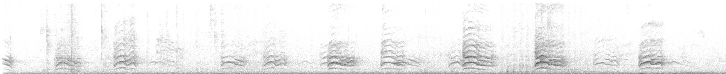 Schlankschnabelhäher - ML608618241