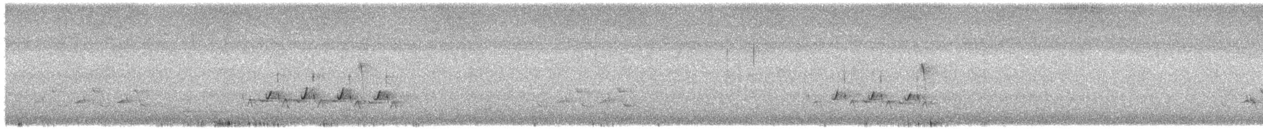 Поплітник каролінський - ML608623410