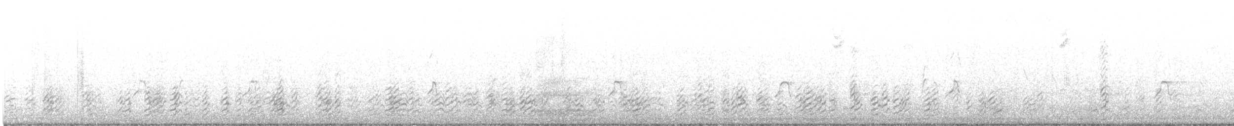 zoboun americký (ssp. niger) - ML608630209
