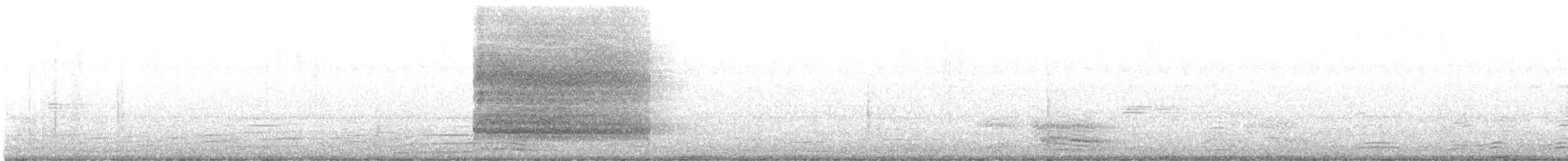 Сипуха крапчаста [група tuidara] - ML608630240