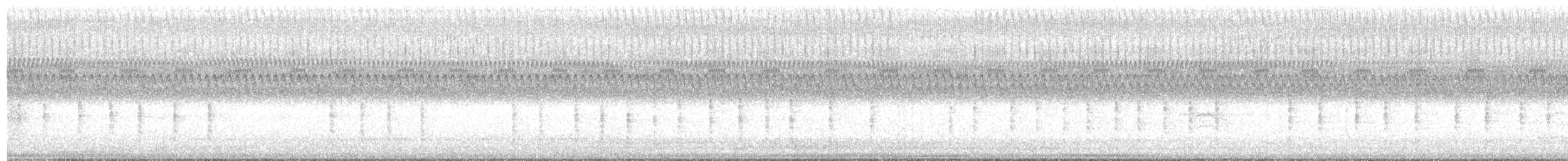 Troglodyte des marais - ML608638171