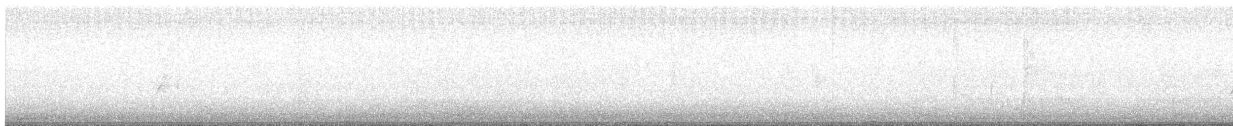 Spotted Crake - ML608638796