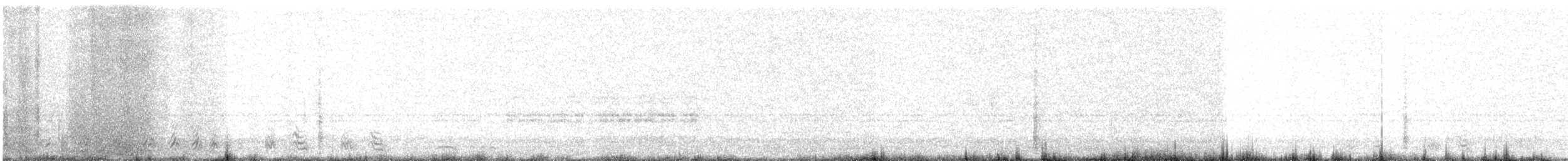 Tétraogalle du Tibet - ML608639647