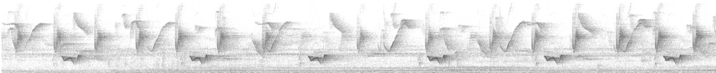 Troglodyte à poitrine grise (bangsi) - ML608644830