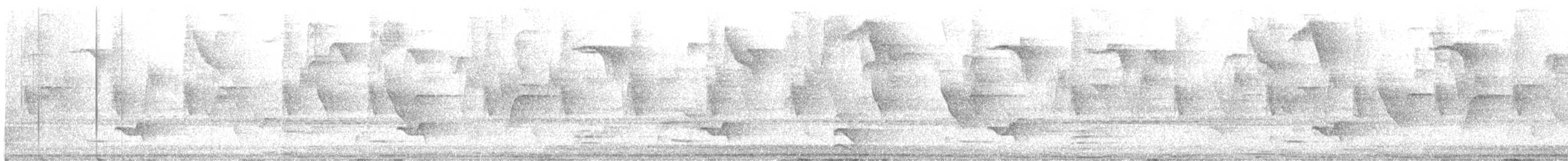 Gray-breasted Wood-Wren (bangsi) - ML608644899