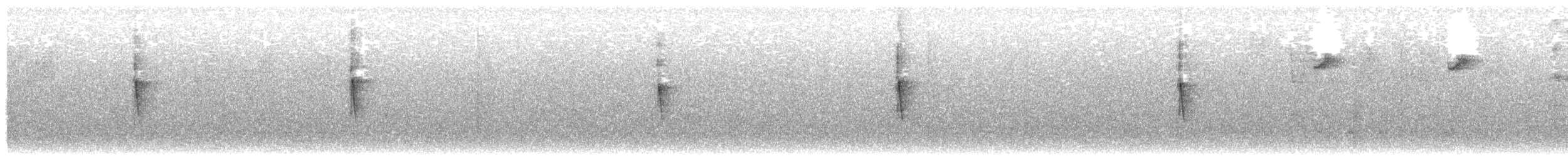 Northern Yellow Warbler - ML608645522