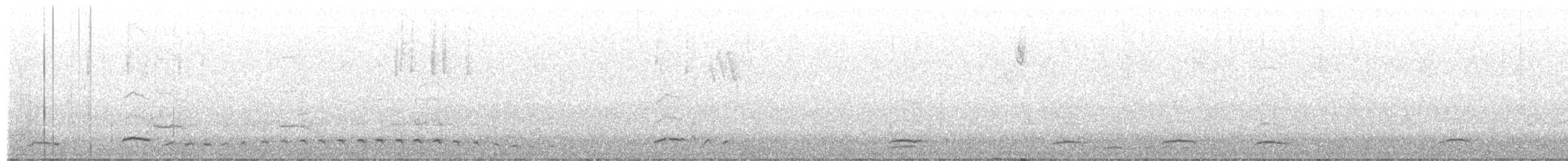 カナダカケス（obscurus／griseus） - ML608649184