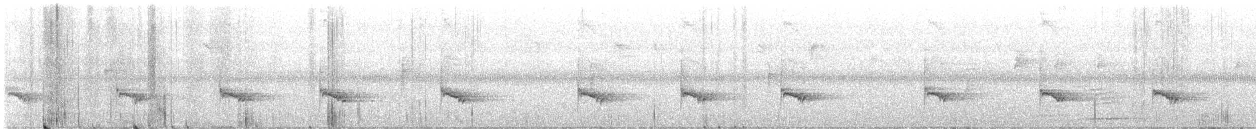 チャバラマユミソサザイ - ML608651213