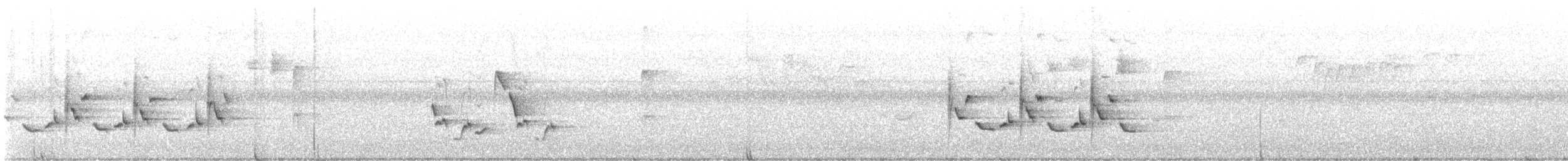 チャバラマユミソサザイ - ML608651215