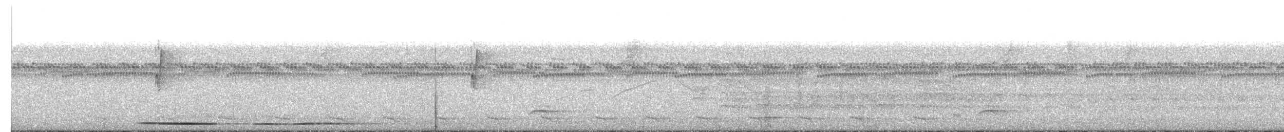 Yellow-legged Tinamou (noctivagus) - ML608654062