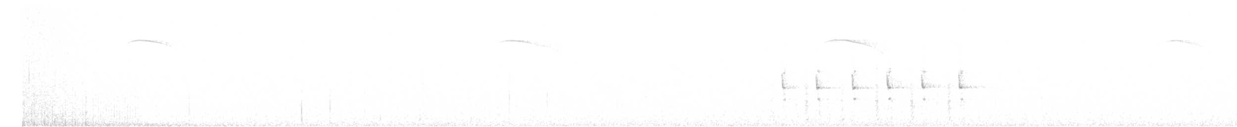 furuskrike (diademata gr.) - ML608657095