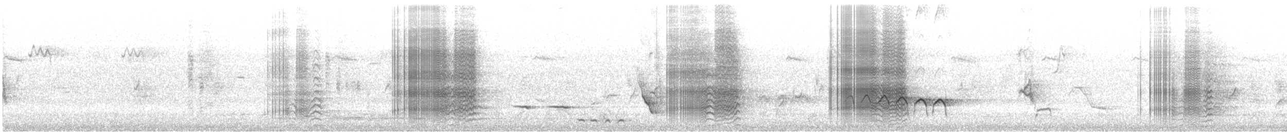 kakadu přílbový - ML608663094