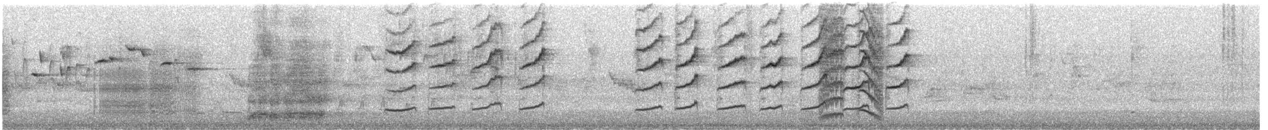 Méliphage serti - ML608663101