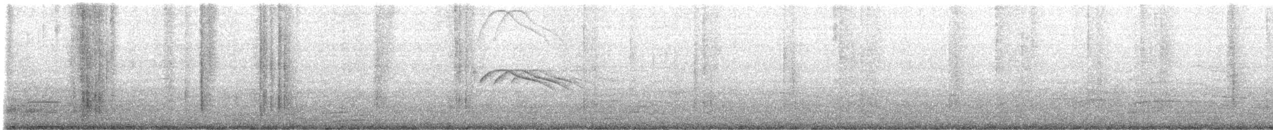 White-tailed Nightjar - ML608665290
