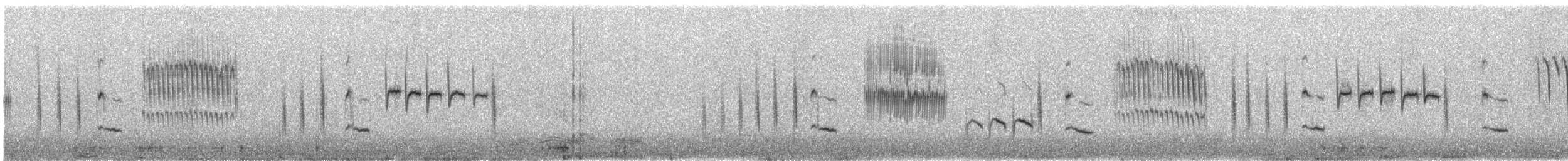 Pampazaunkönig (aequatorialis) - ML608666194