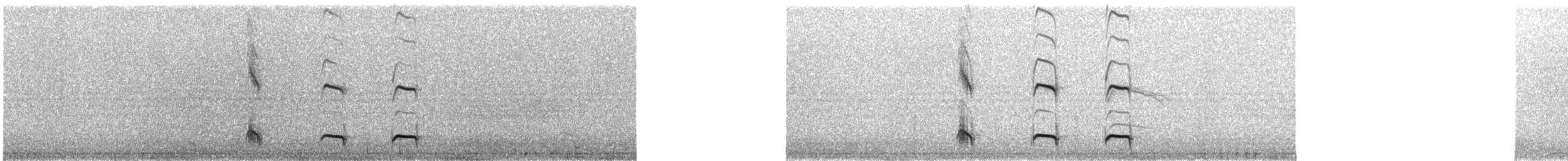 Tawny Antpitta - ML608666415