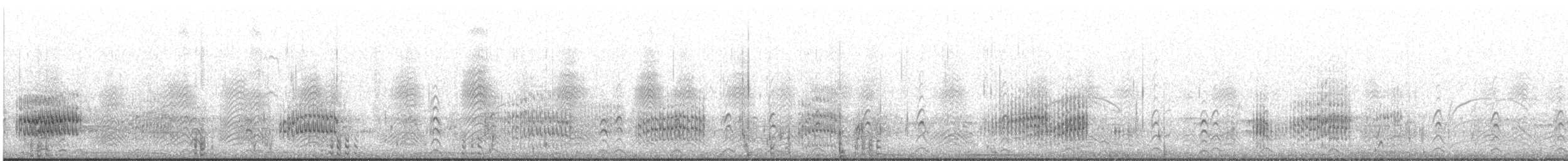 ホオジロオナガガモ - ML608666422