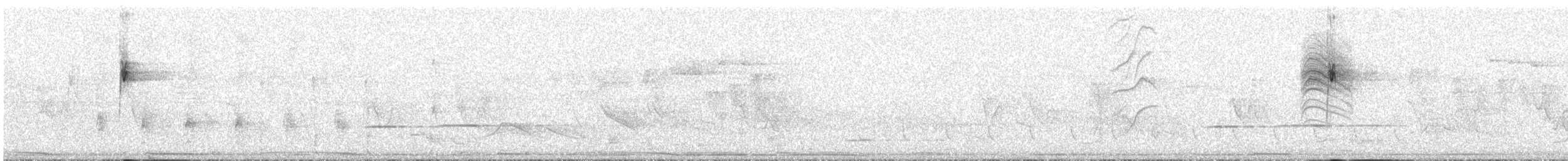 Зернолуск смугастоволий - ML608668215