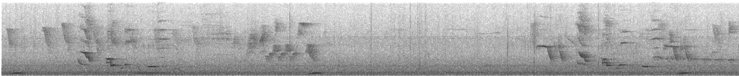 Motmot caraïbe (argenticinctus) - ML608669891