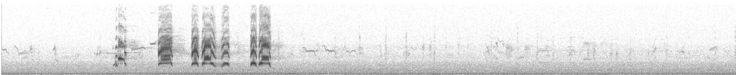 halsbåndfrankolin (francolinus/arabistanicus) - ML608675438