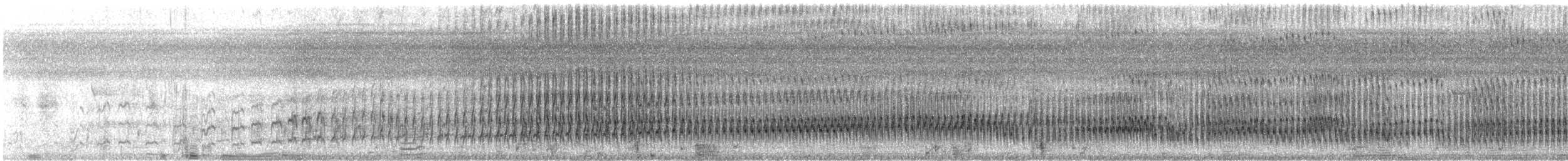 White-eared Jacamar - ML608677210