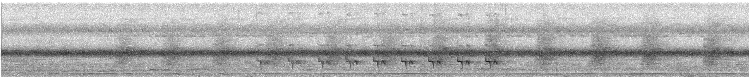 Weißbauch-Ameisenschlüpfer - ML608677472