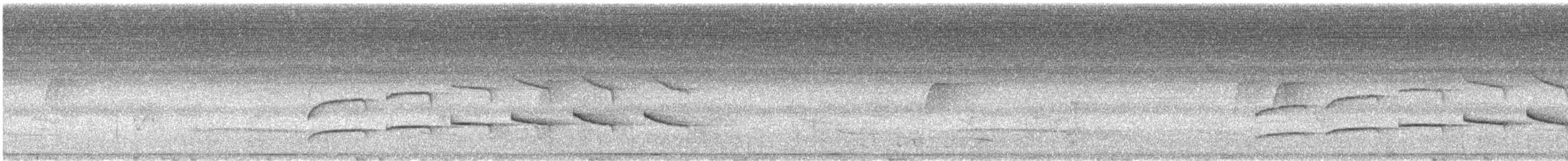 gråhodetreløper (griseicapillus gr.) - ML608677538
