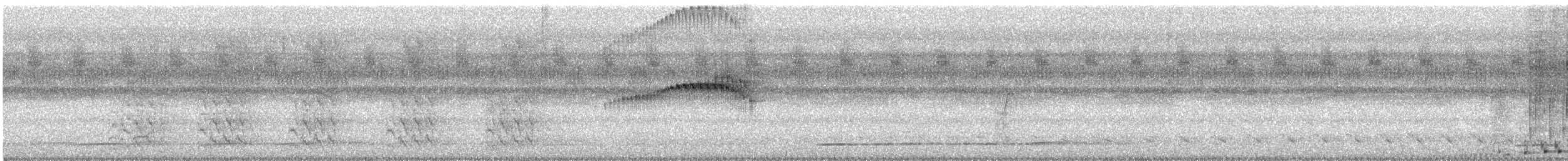 Plain Tyrannulet - ML608679038