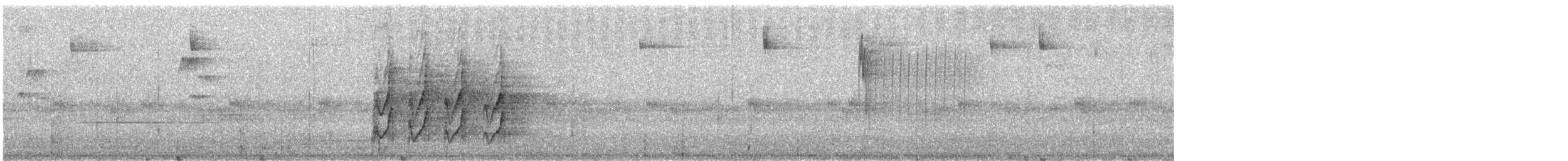 Тиранчик-довгохвіст жовточеревий - ML608680121