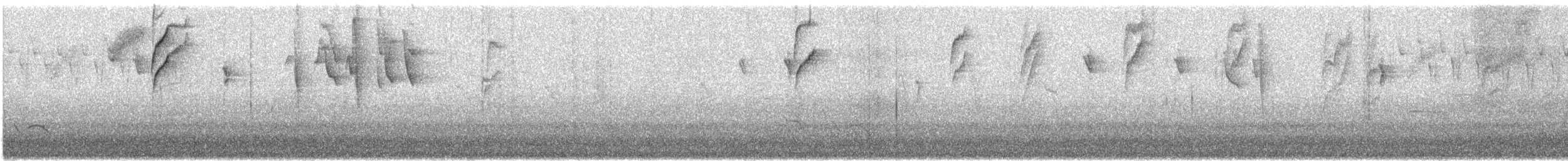 Percefleur moustachu - ML608681066