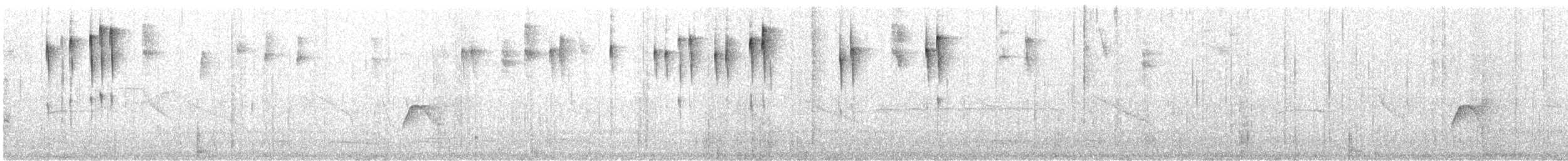 perlestammeløper - ML608681259