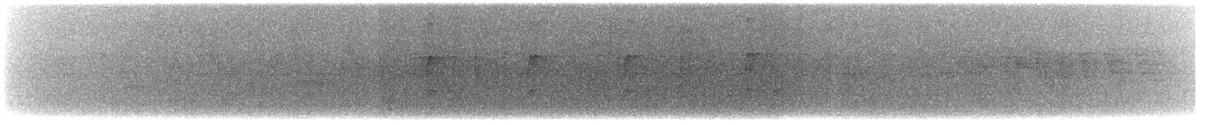 Тиран-крихітка андійський - ML608685473