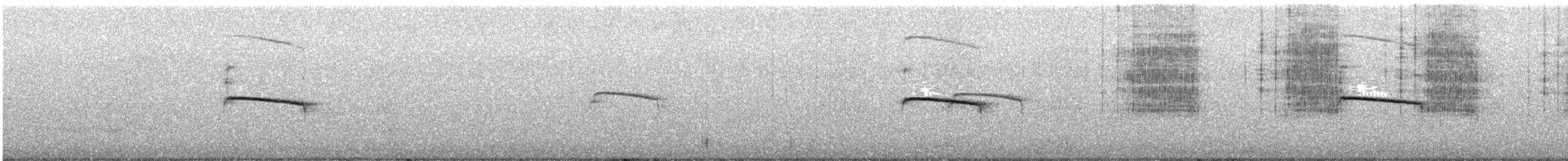 nordglattyrannulett - ML608695905