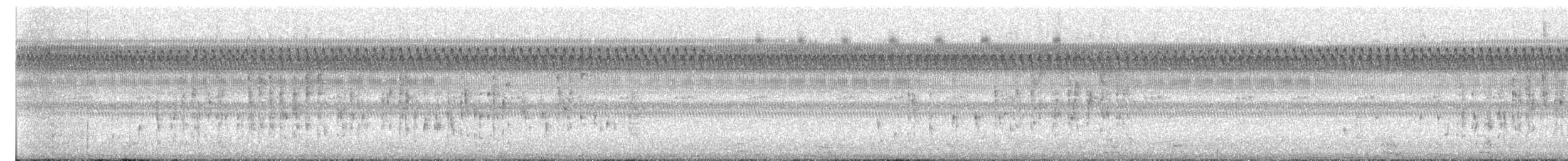 ハシナガヌマミソサザイ - ML608697883