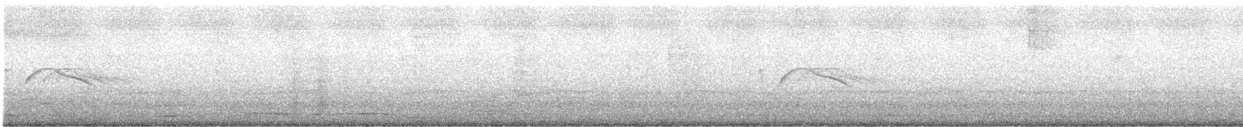 White-tailed Nightjar - ML608702574