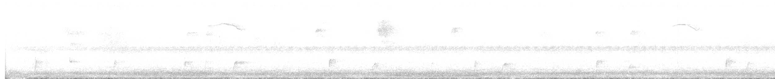 Дрізд-короткодзьоб Cвенсона - ML608703558