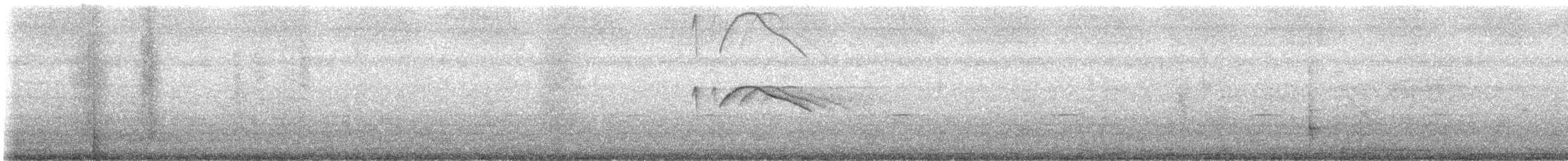 White-tailed Nightjar - ML608705645